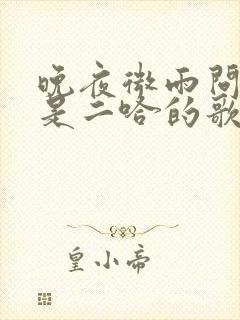 晚夜微雨问海棠是二哈的歌吗封面