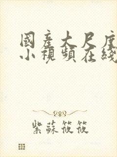 国产大尺度福利小视频在线观看