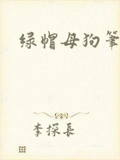 绿帽母狗笔趣阁封面