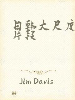 日韩大尺度床戏片段封面