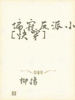 偏宠反派小可怜[快穿]