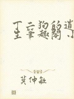 丁二狗的逍遥人生笔趣阁 小说封面