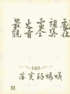 最火电视剧免费观看全集在线播放封面