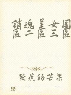 销魂美女图片一区二区三区