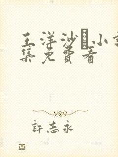 王洋沙靑小说全集免费看