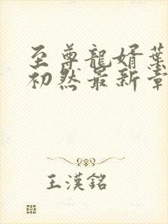 至尊龙婿叶辰萧初然最新章节封面