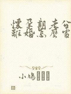 怀孕期老公出轨离婚怎么处理