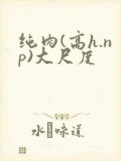 纯肉(高h.np)大尺度