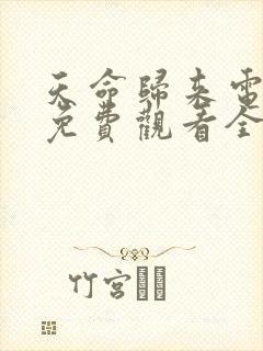 天命归来电视剧免费观看全集高清