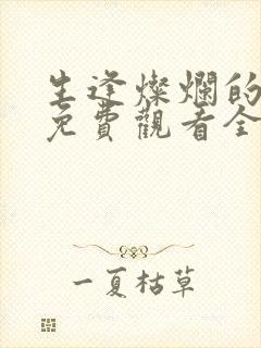 生逢灿烂的日子免费观看全集