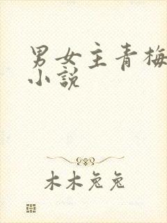 男女主青梅竹马小说