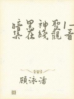 暗黑神圣1—6集在线观看免费