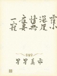 一夜情深霍先生宠妻无度小说免费阅读