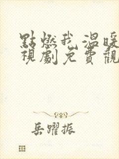 点燃我温暖你电视剧免费观看30封面