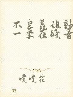 不良义姐动漫第一季在线看免费