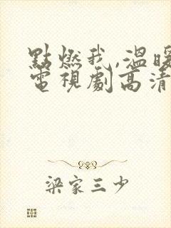 点燃我,温暖你电视剧高清在线观看