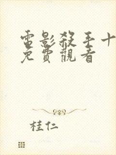 电影杀手十三2免费观看封面