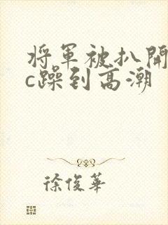 将军被扒开腿狂c躁到高潮