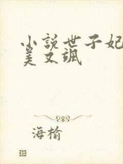 小说世子妃她又美又飒