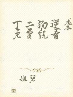 丁二狗逆袭人生免费观看