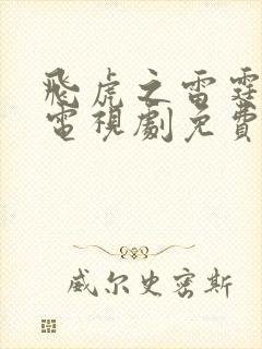 飞虎之雷霆极战电视剧免费封面