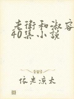 老卫和淑容1-40集小说封面