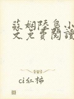 苏娴陆枭小说全文免费阅读封面