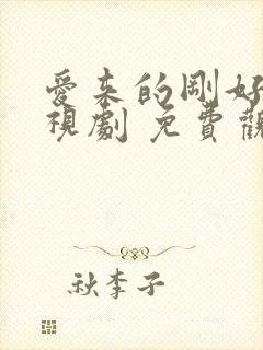 爱来的刚好 电视剧 免费观看