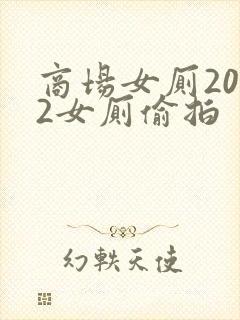 商场女厕2022女厕偷拍封面