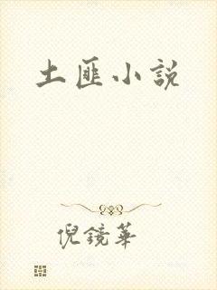 土匪小说