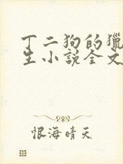 丁二狗的猎艳人生小说全文无删减