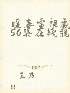 暖春电视剧全集56集在线观看免费封面