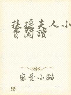 扶摇夫人小说免费阅读