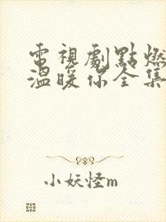 电视剧点燃我,温暖你全集免费版在线观看封面