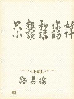 只想和你好好的小说讲的什么