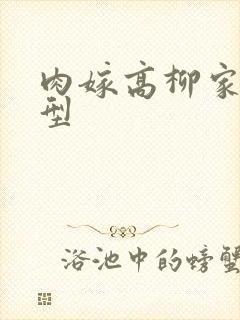 肉嫁高柳家同类型