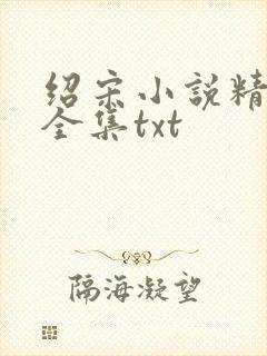 绍宋小说精校版全集txt