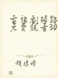 电视剧归路全集免费观看30集高清