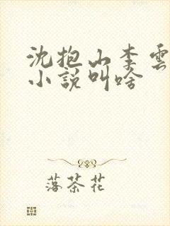 沈抱山李云舒的小说叫啥封面