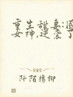 重生甜妻:国民女神,逆袭了