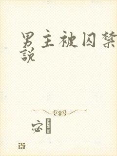 男主被囚禁的小说封面