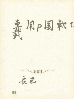 专用p图软件下载