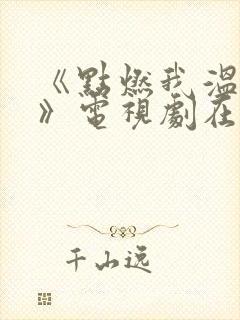 《点燃我温暖你》电视剧在线观看