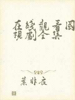 在线观看国产电视剧全集