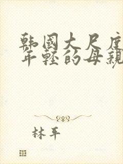 韩国大尺度电影年轻的母亲