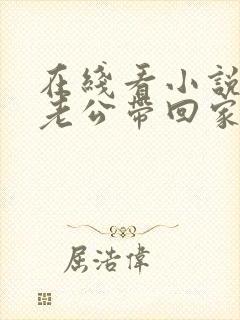 在线看小说国民老公带回家