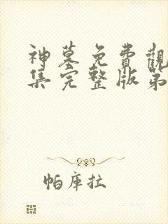 神墓免费观看全集完整版第二季