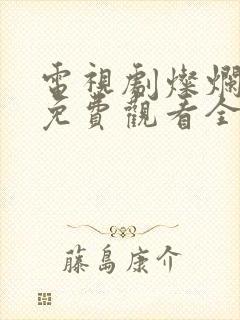 电视剧灿烂转身免费观看全集高清