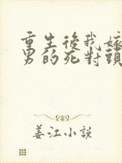 重生后我嫁给渣男的死对头短剧