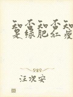 知否知否知否应是绿肥红瘦是哪个季节